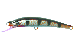 Воблер Nils Master INVINCIВLE Floating 12cm, 24 г., #016