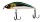172