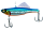 054 Broken Ice