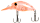 156