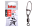 BN