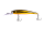 263