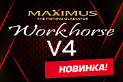  Workhorse V4