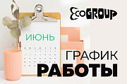 График работы компании ECOGROUP в июне