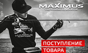 Большое поступление MAXIMUS