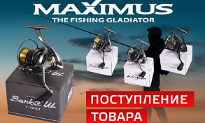 Поступление катушек MAXIMUS