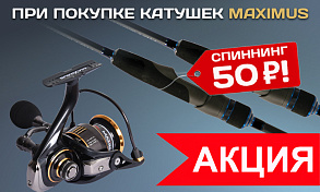 Спиннинг MAXIMUS за 50 рублей — новая АКЦИЯ ноября!
