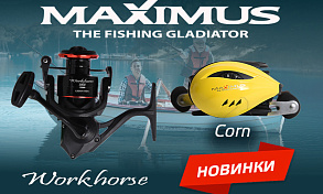 В продажу поступили две новые катушки «Work Horse» и «Corn» от бренда MAXIMUS