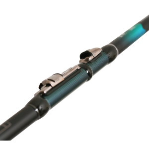 Maximus Prince Bolognese