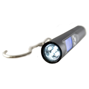 Весы электронные ECOPRO с фонарем