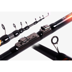 Maximus Queen Bolognese