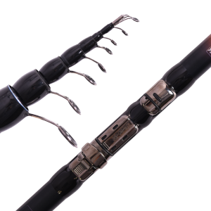 Maximus Queen Bolognese