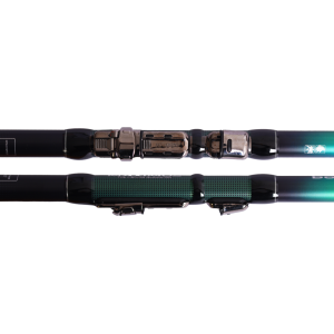 Maximus Prince Bolognese