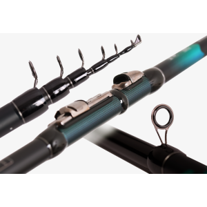 Maximus Prince Bolognese