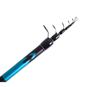 Maximus Prince Bolognese